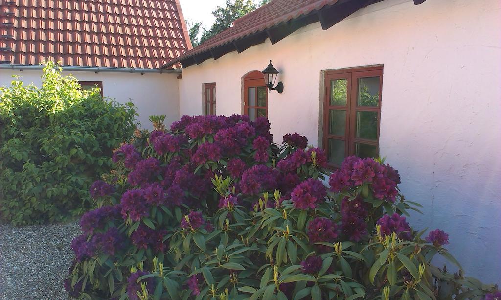 Vranum Guesthouse Viborg Esterno foto