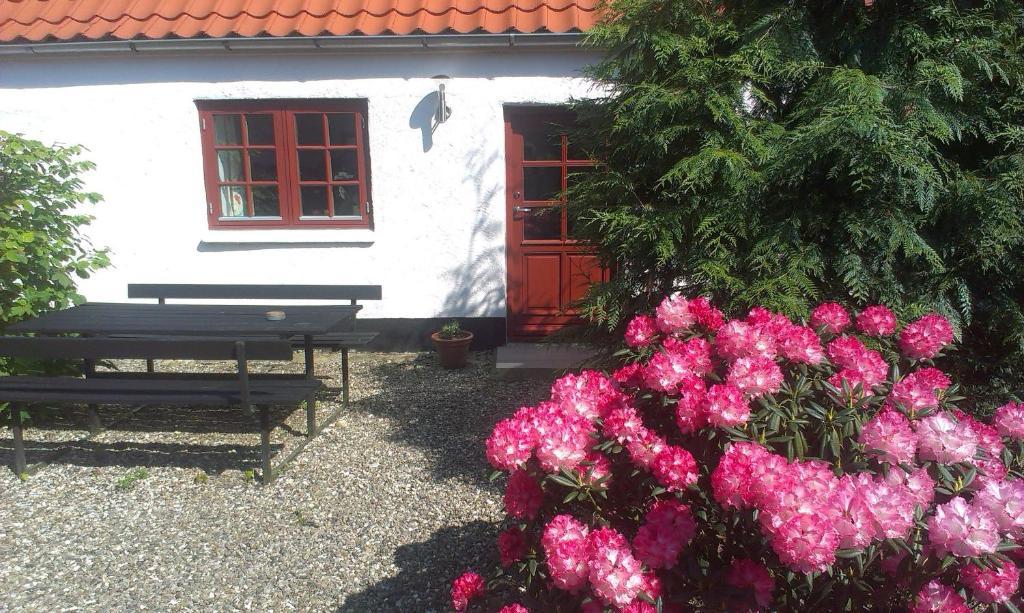 Vranum Guesthouse Viborg Esterno foto